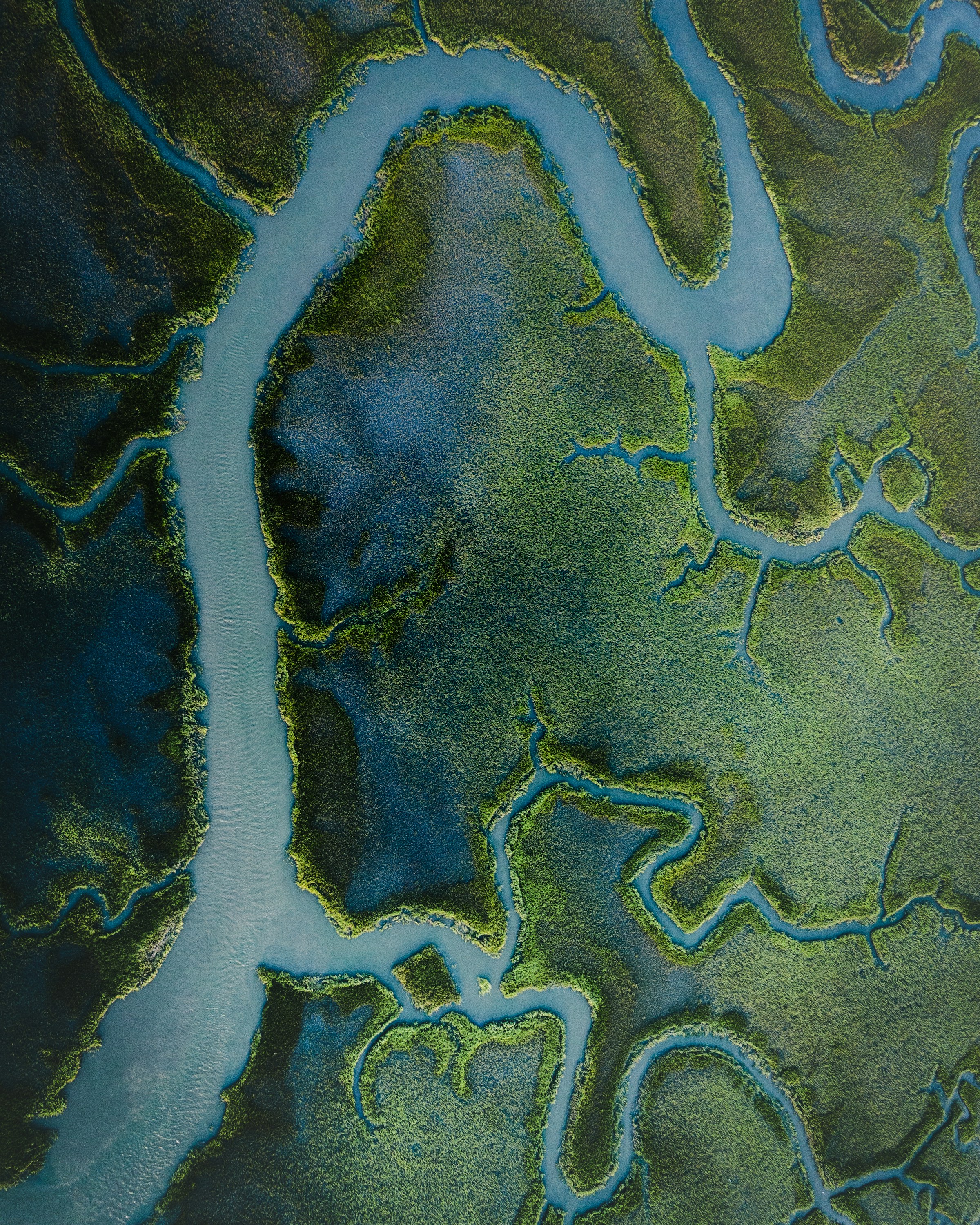 Aerial view of winding river channels through green marshland